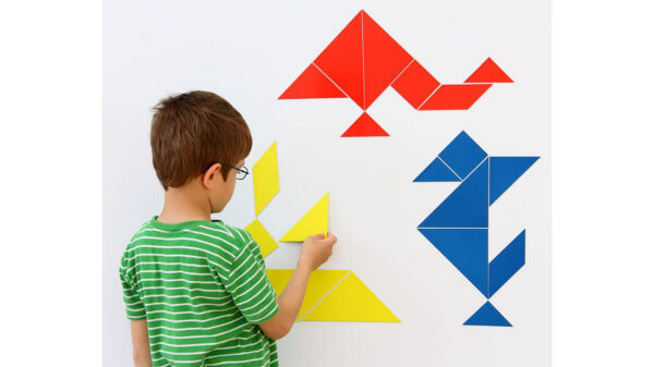 MAGNETNI TANGRAM - Image 4